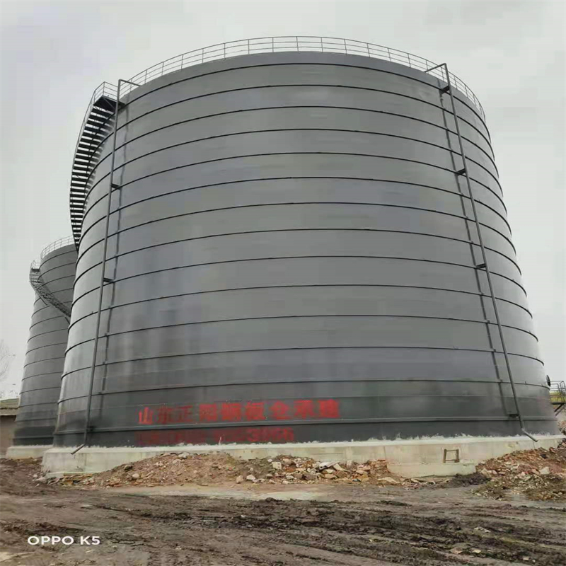 仪陇3万吨大型钢板库